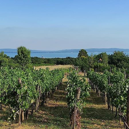 Ferienwohnung Kishaz A Szolohegyen Balatonakali Exterior foto