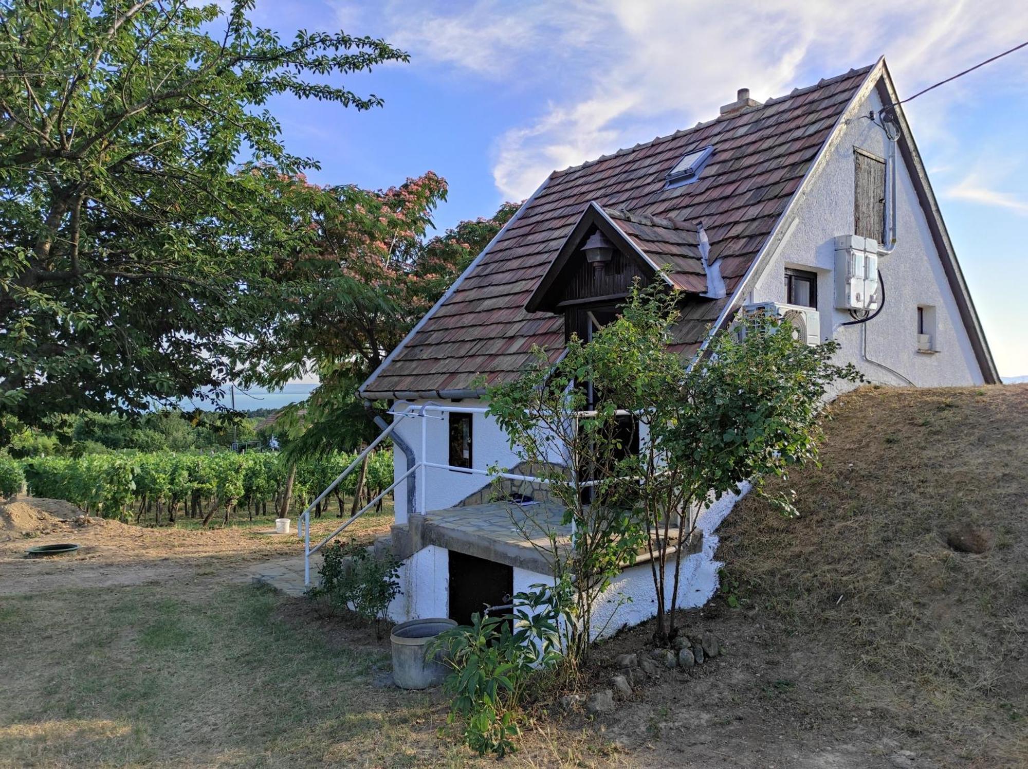 Ferienwohnung Kishaz A Szolohegyen Balatonakali Exterior foto