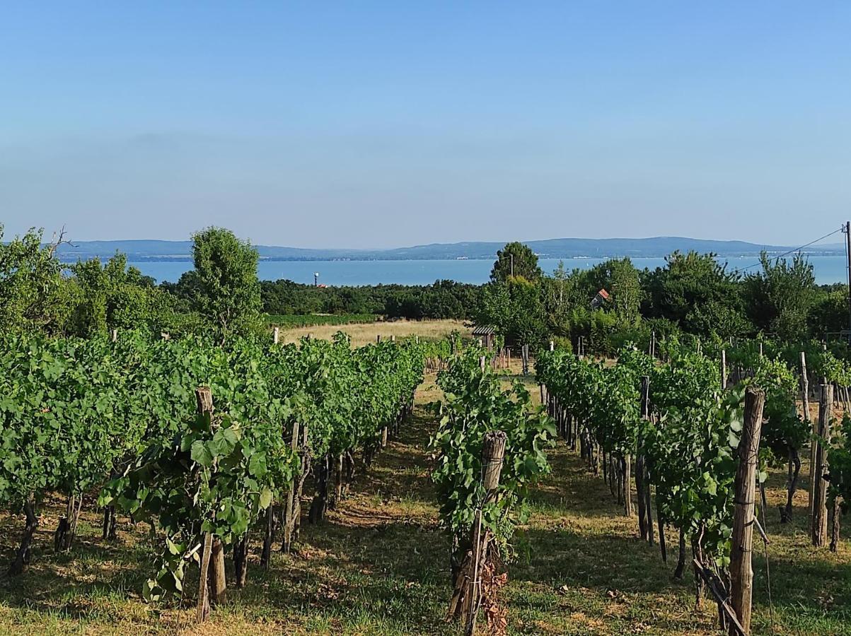 Ferienwohnung Kishaz A Szolohegyen Balatonakali Exterior foto